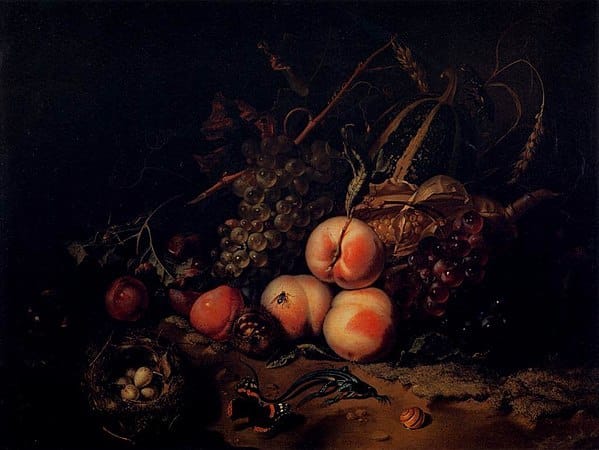 599px Rachel Ruysch Still Life with Fruit and Insects WGA20557