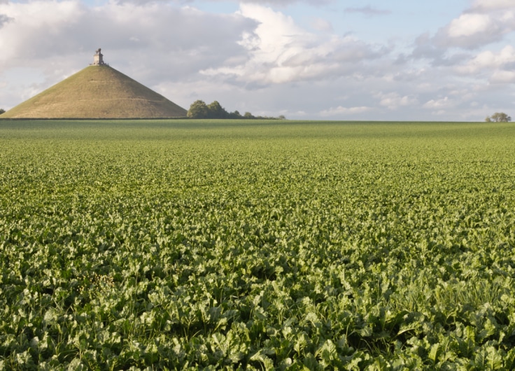 Butte du Lion c Myrabella Wikimedia Commons