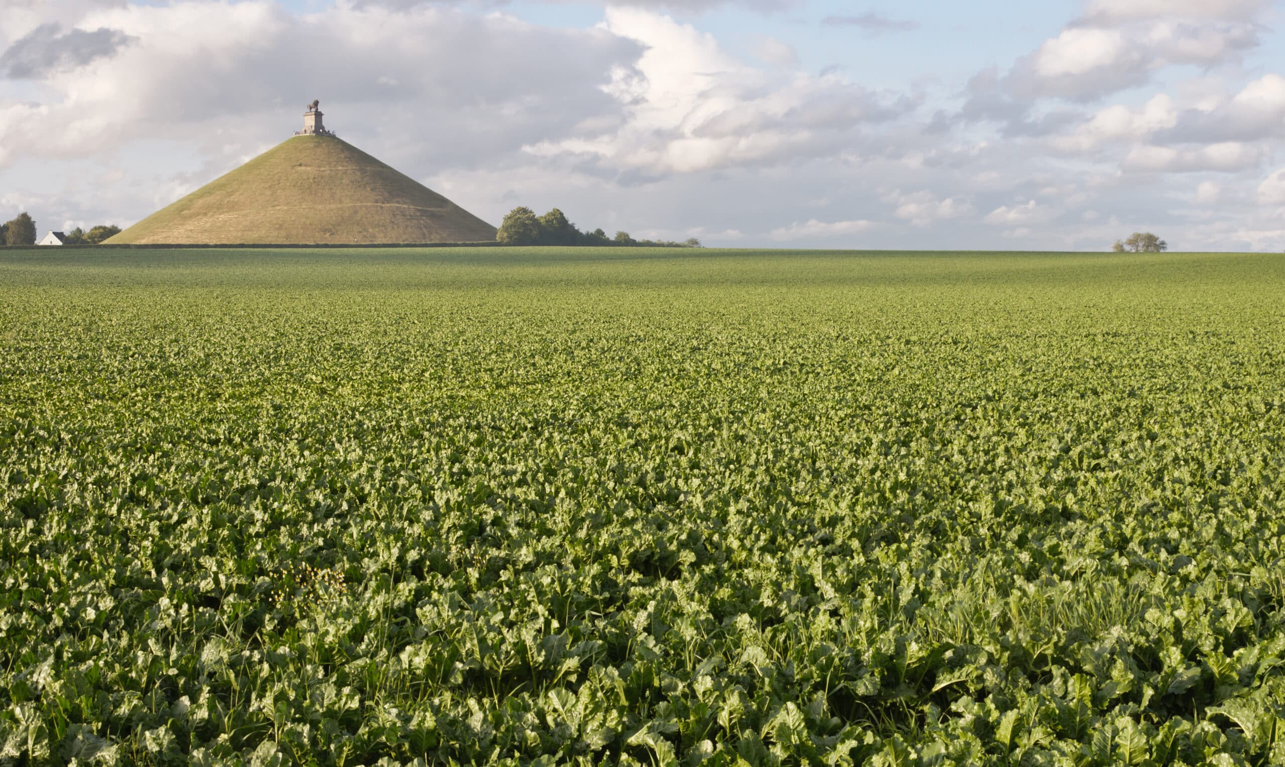 Butte du Lion c Myrabella Wikimedia Commons