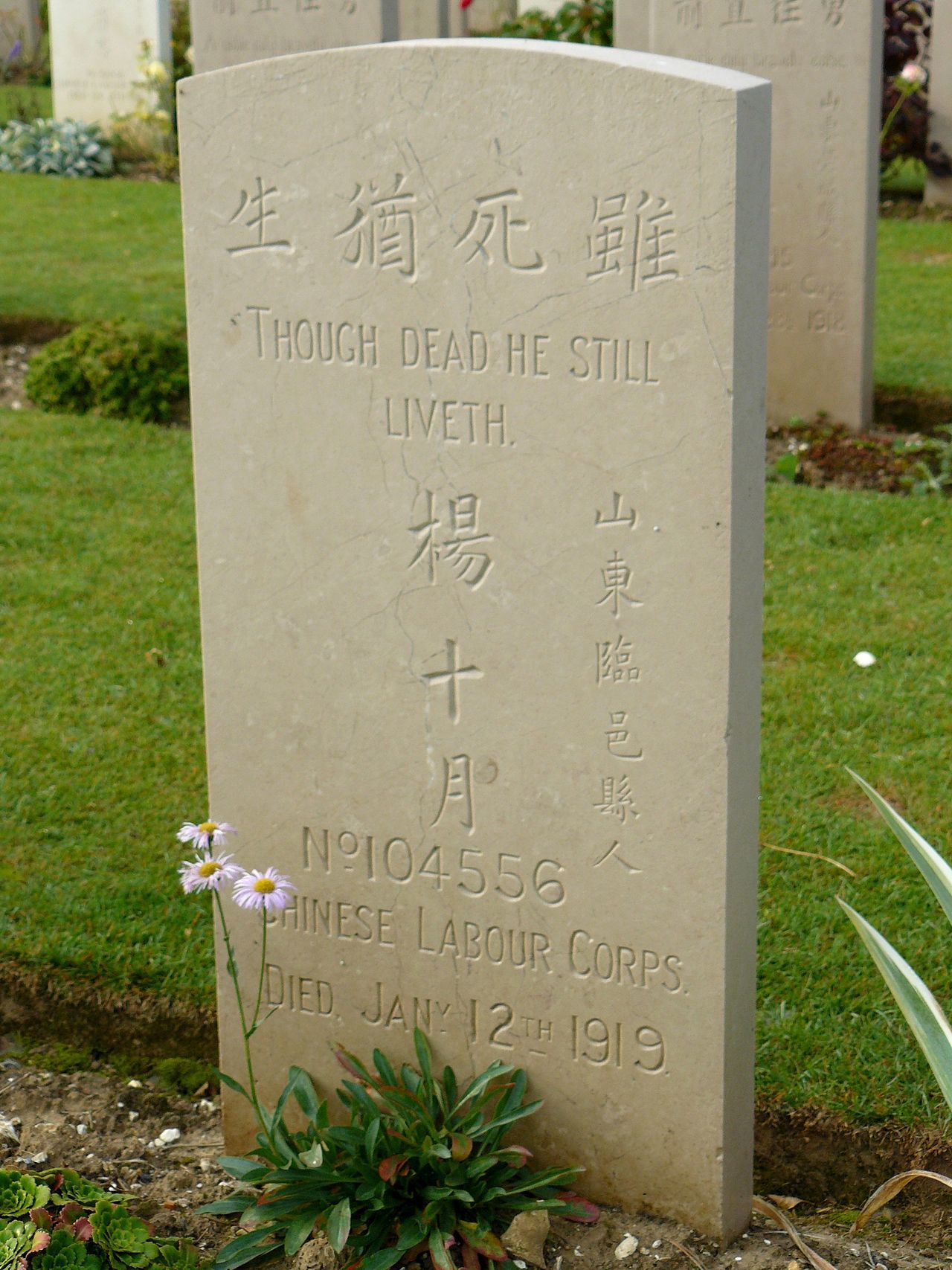 Cimetière chinois Noyelles 2007 2