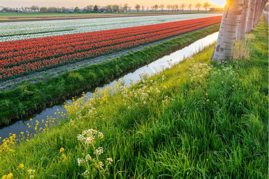 Droogmakerij de Beemster c Johan Wieland