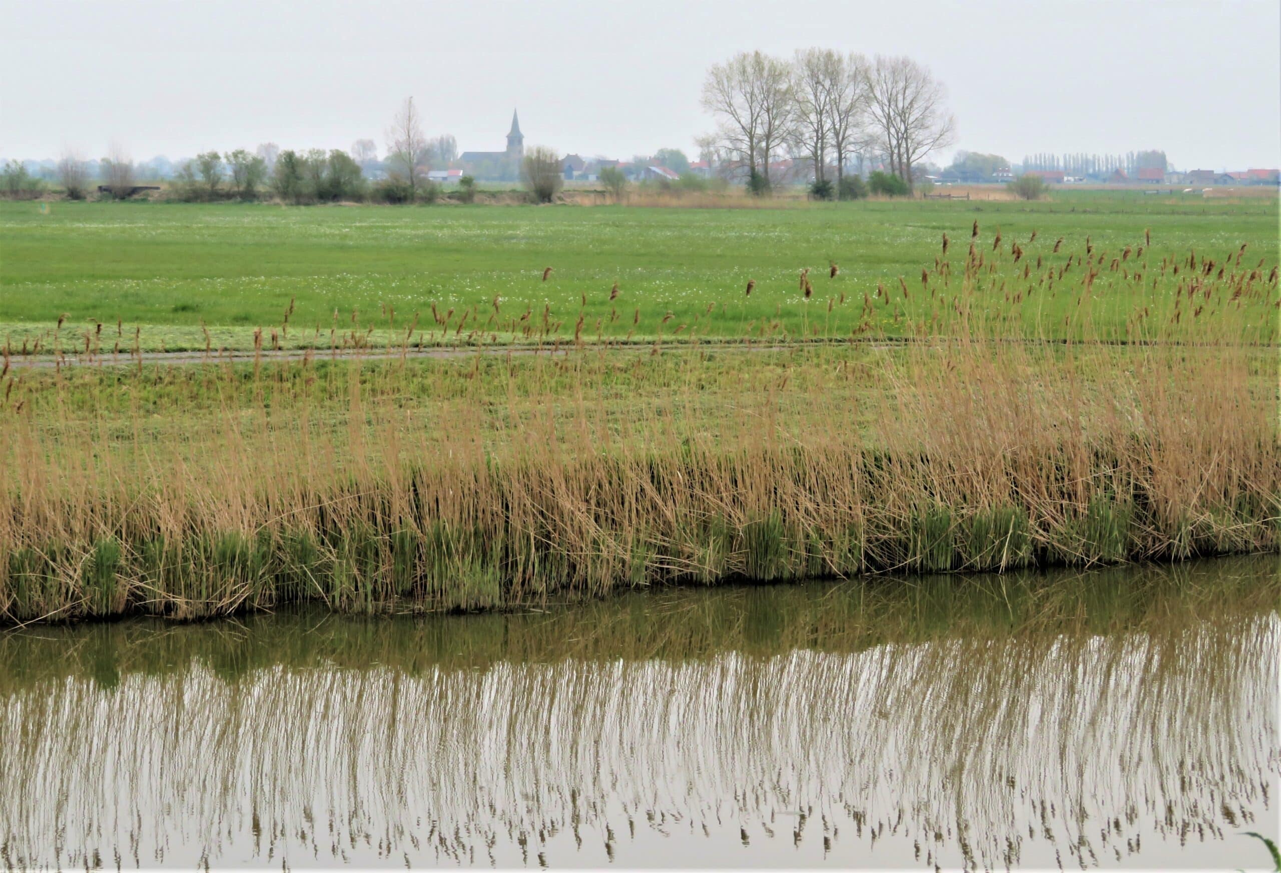 IX-42-Tussen-Knokkebrug-en-Fintele