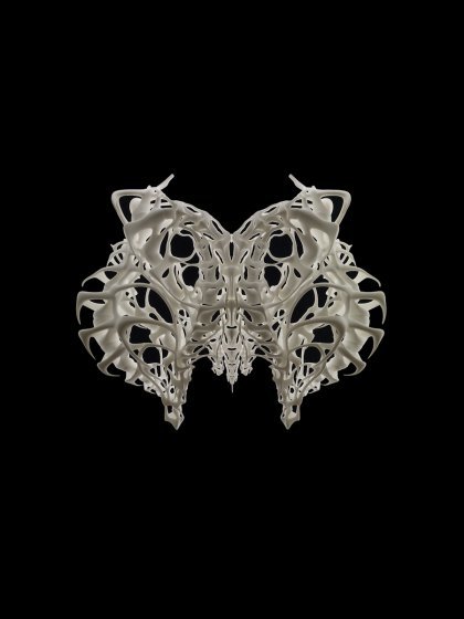 Iris van Herpen3 D 1