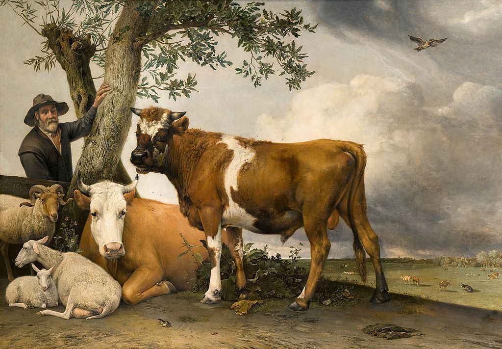 Paulus Potter De Stier