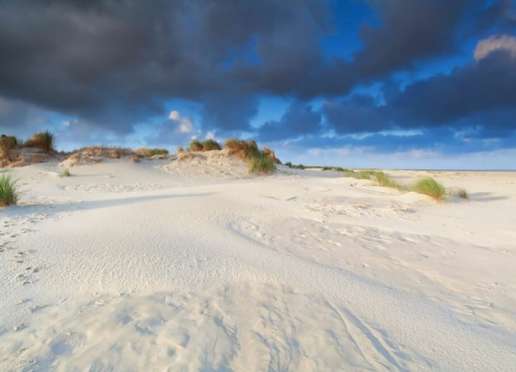 Strand van Schiermonnikoog c Schiermonnikoog Info