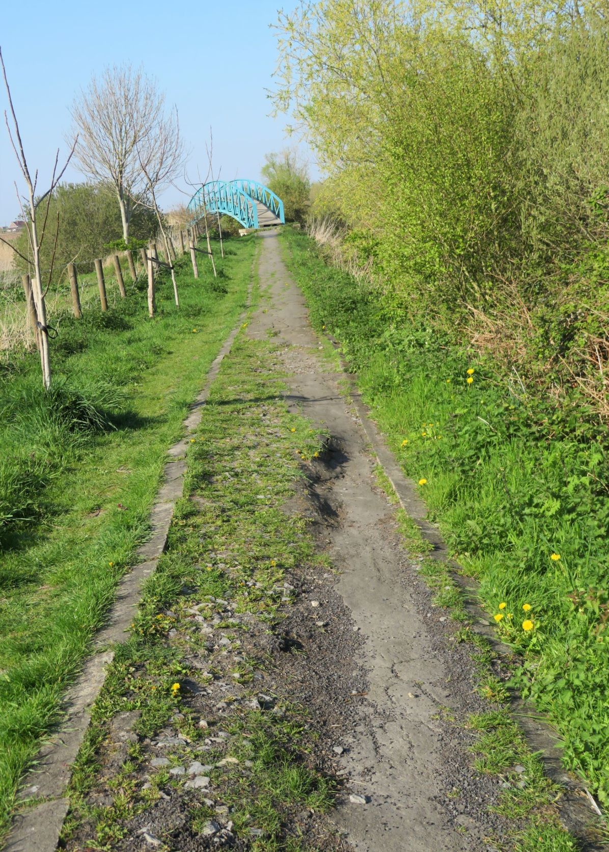 VIII-25-jaagpad-met-brug-over-Dode-IJzer