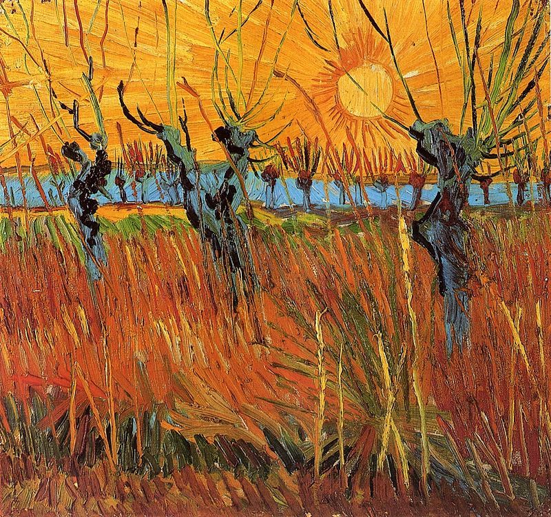 Willows at Sunset 1888 Vincent van Gogh