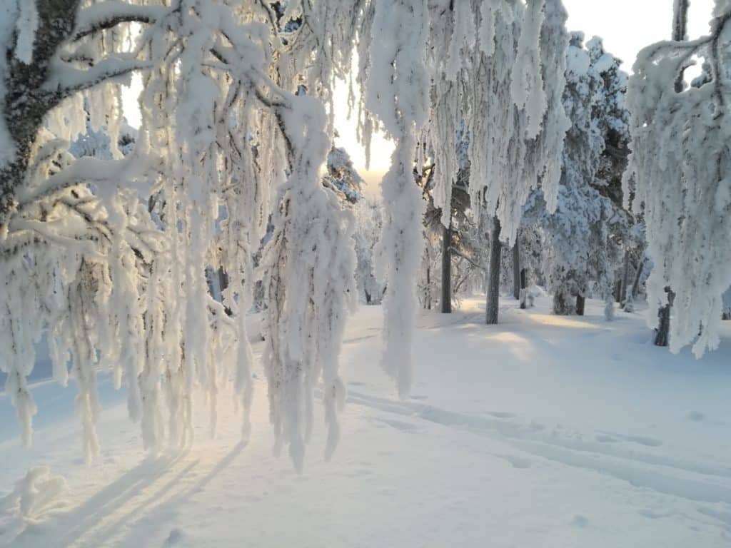 Winter in Finland