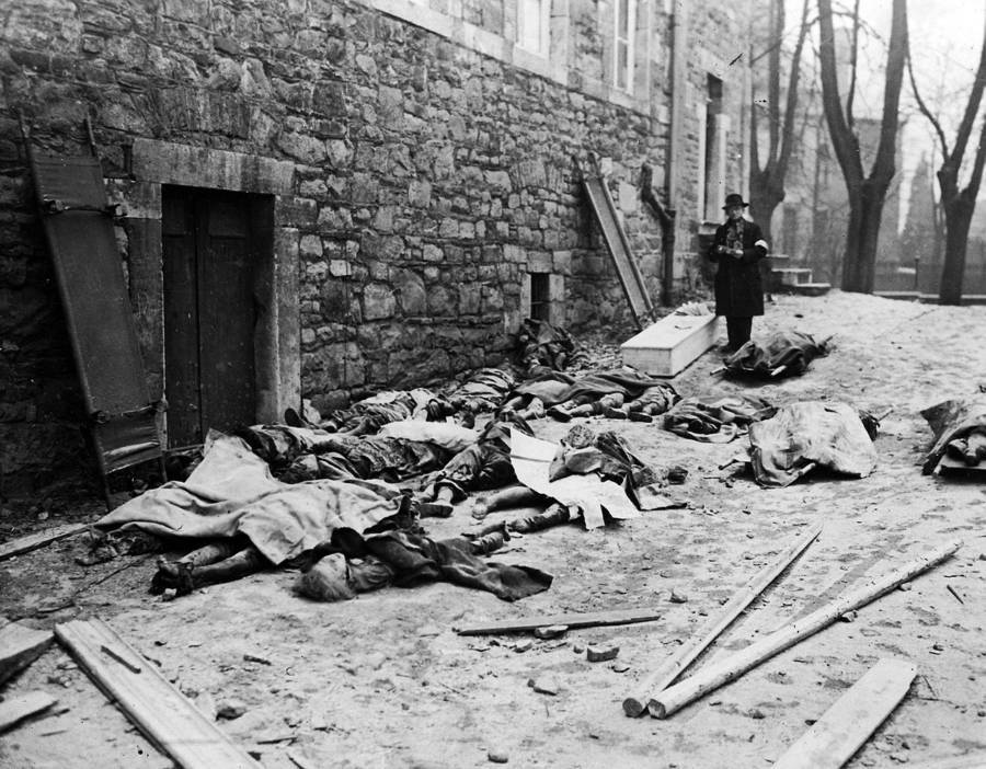 Bodies of murdered belgians