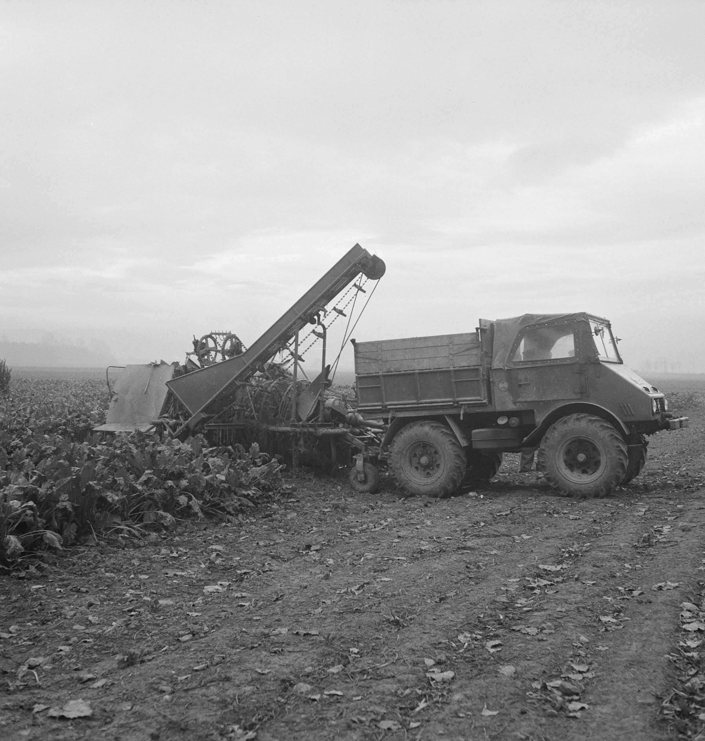 Gemechaniseerde landbouw