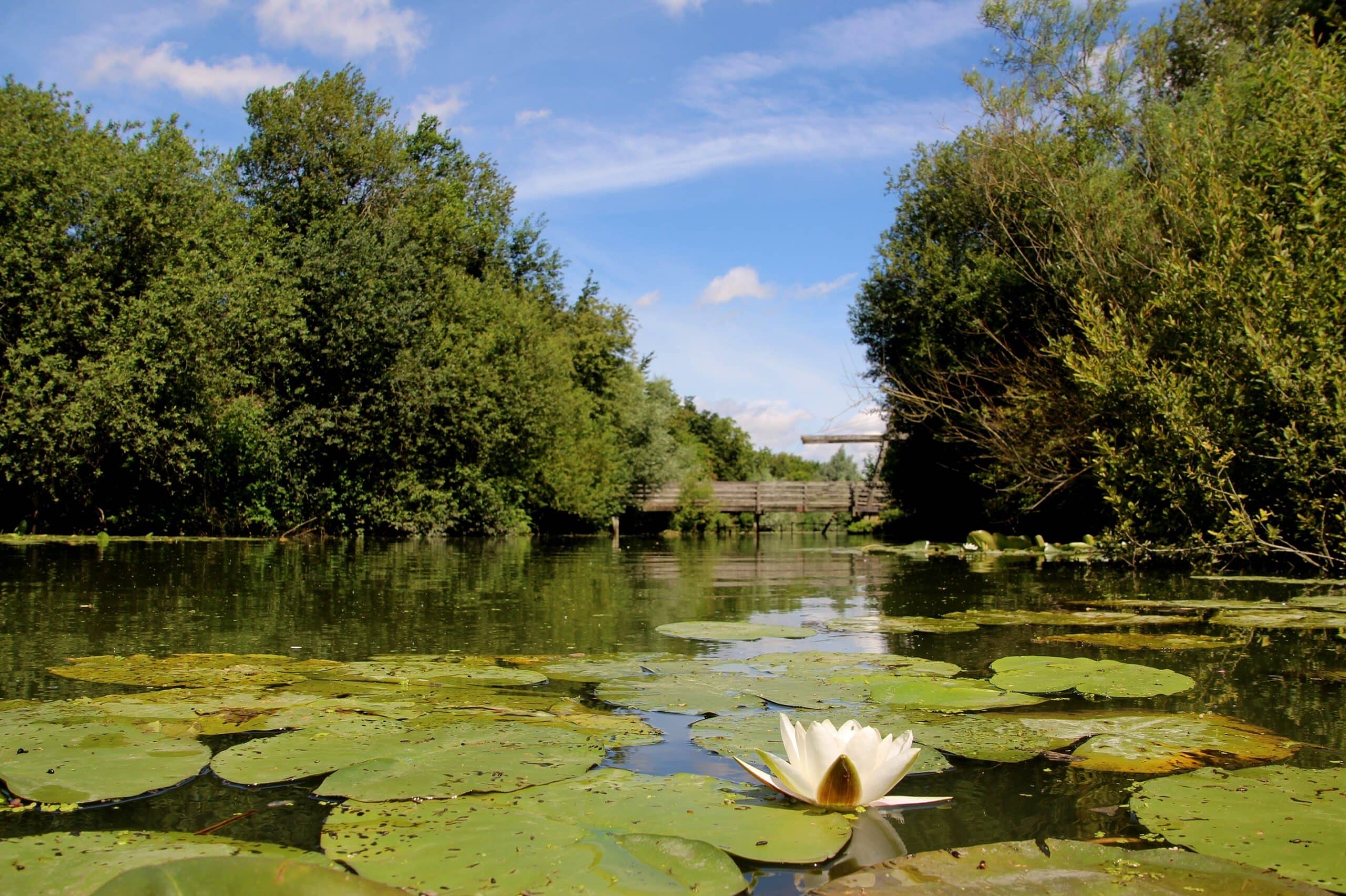 Marais audomarois Pas de Calais Tourisme