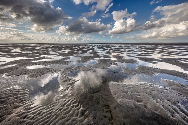 Waddenzee