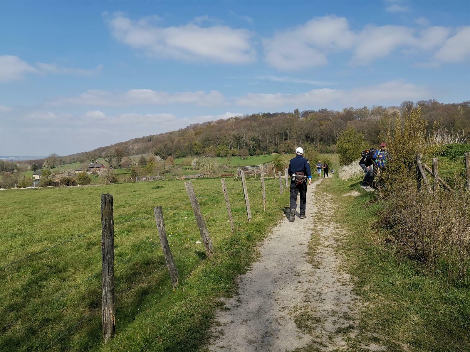 Wandelen in de voerstreek 20876 xl